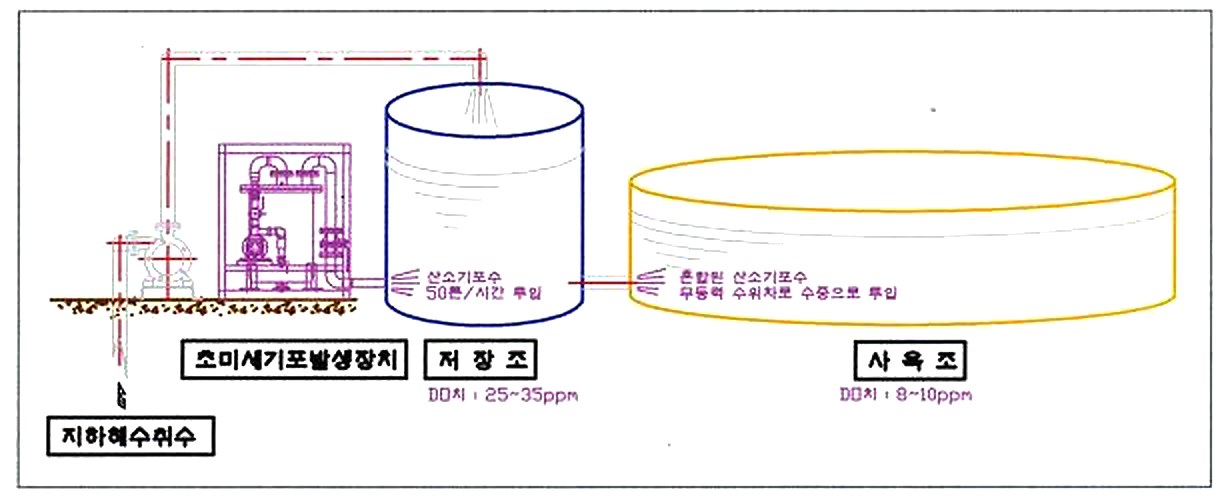 양식장 미세기포 파일럿 테스트 초미세기포발생장치 저장조 사육조 계통도